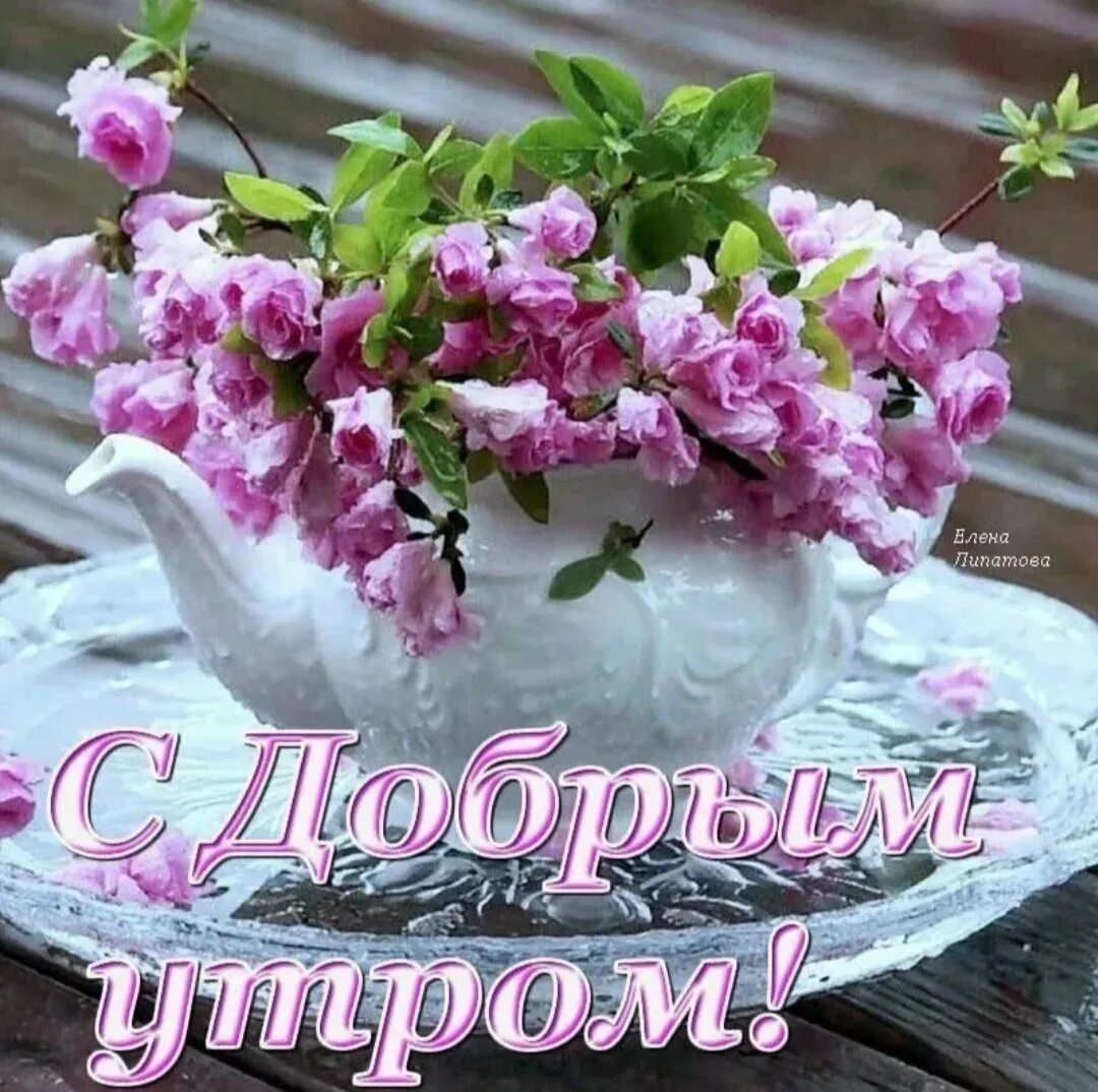 Доброе утро хорошего дня женщине цветы. Пожелания с добрым. уа тром. доброго весеннего дня. красивые пожелания с добрым утром. красивые открытки с цветами доброе утро.
