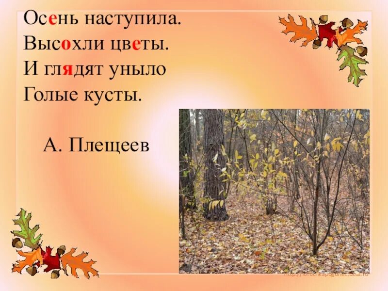 Золотая осень Плещеев. Осень наступила. Плещеев осень наступила. Осень наступила высохли цветы. Песня осень наступила и вянут