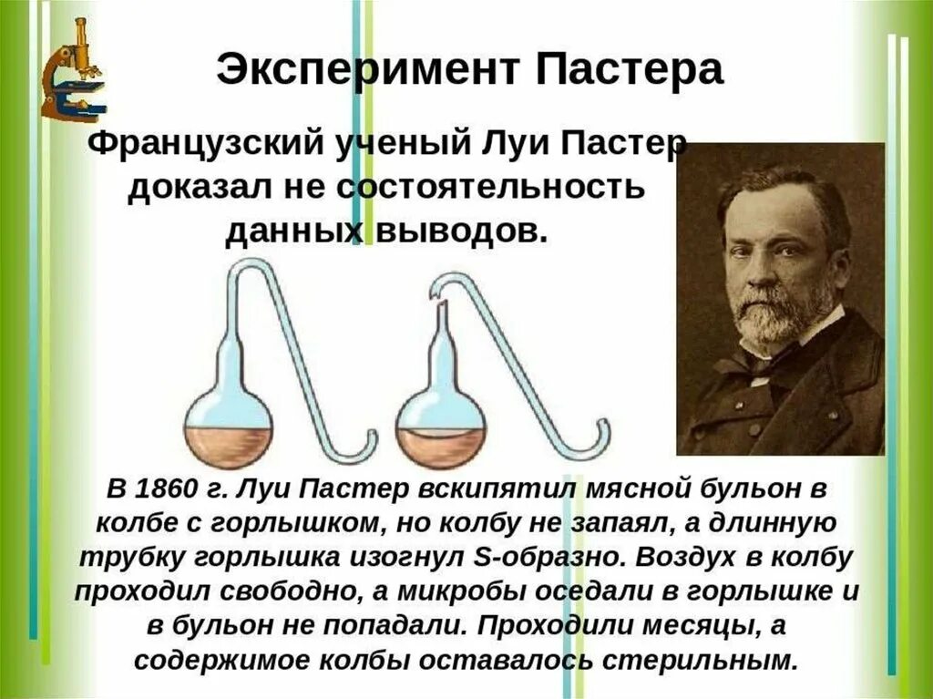 Французский ученый теория. Луи Пастер теория самозарождения. Опыт Луи Пастера. Луи Пастер самозарождение жизни опыт. Эксперименты Луи Пастера доказали что.