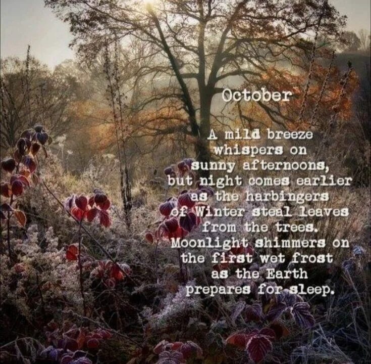 He learn the poem by the autumn