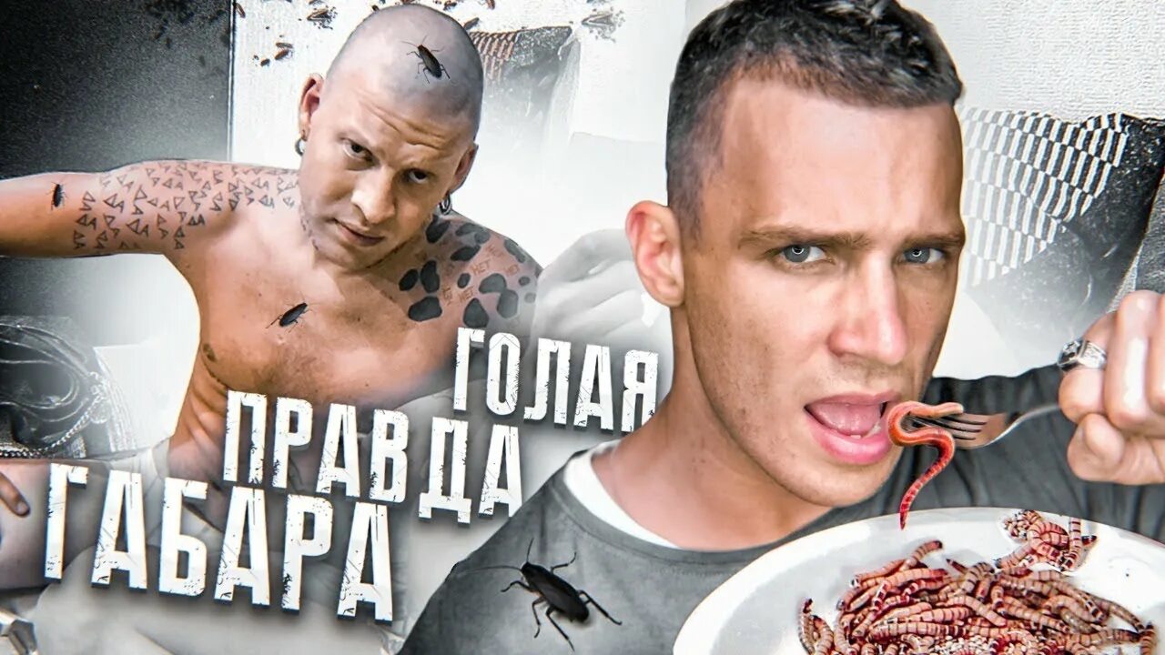 Габар ведущий 360. Габар ведущий 360. Молодая кровь шоу. Габар 7. Габар блоггер без бороды.