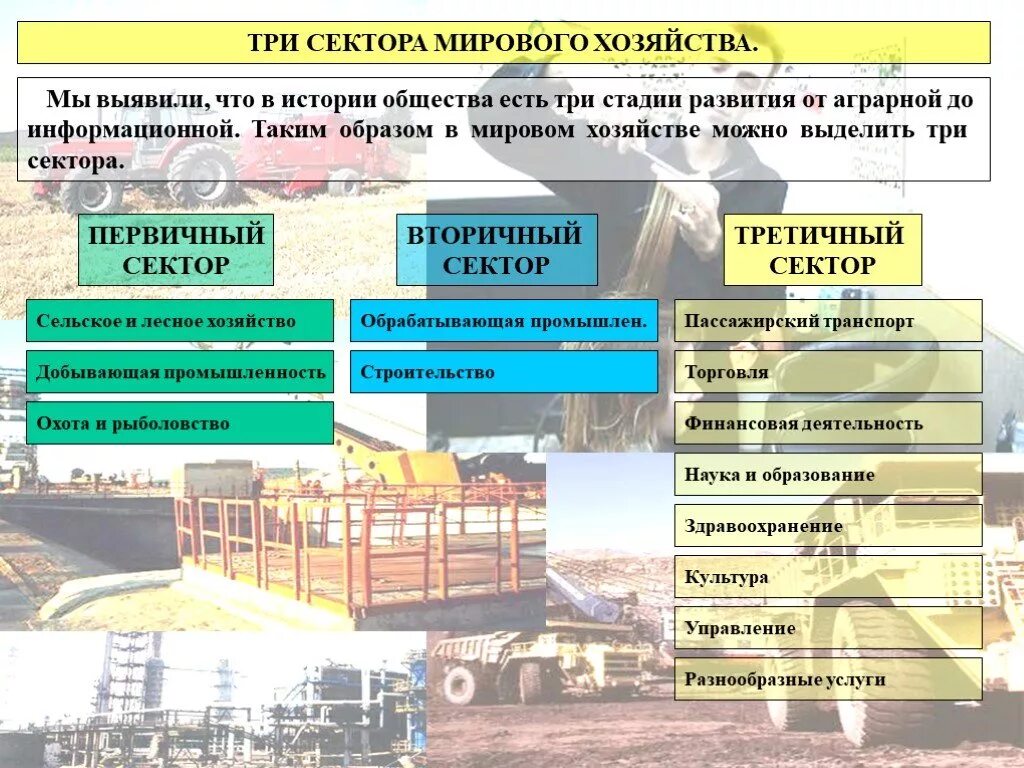 Какие есть секторы экономики