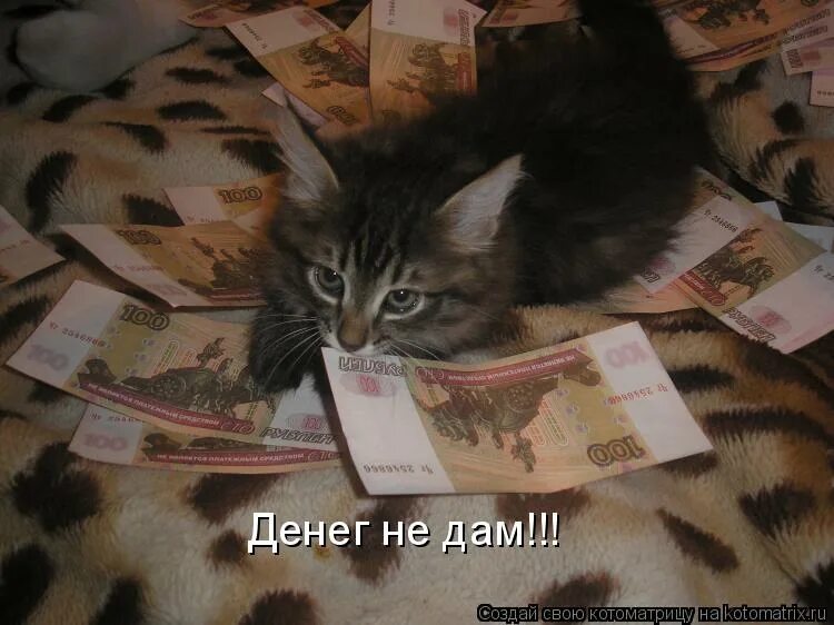 Цитаты богатых людей. Слова песни слова. Текст да я богатый. Я богат. Мемы про богатых.