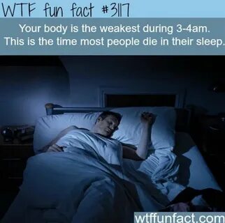 Sleep перевод my
