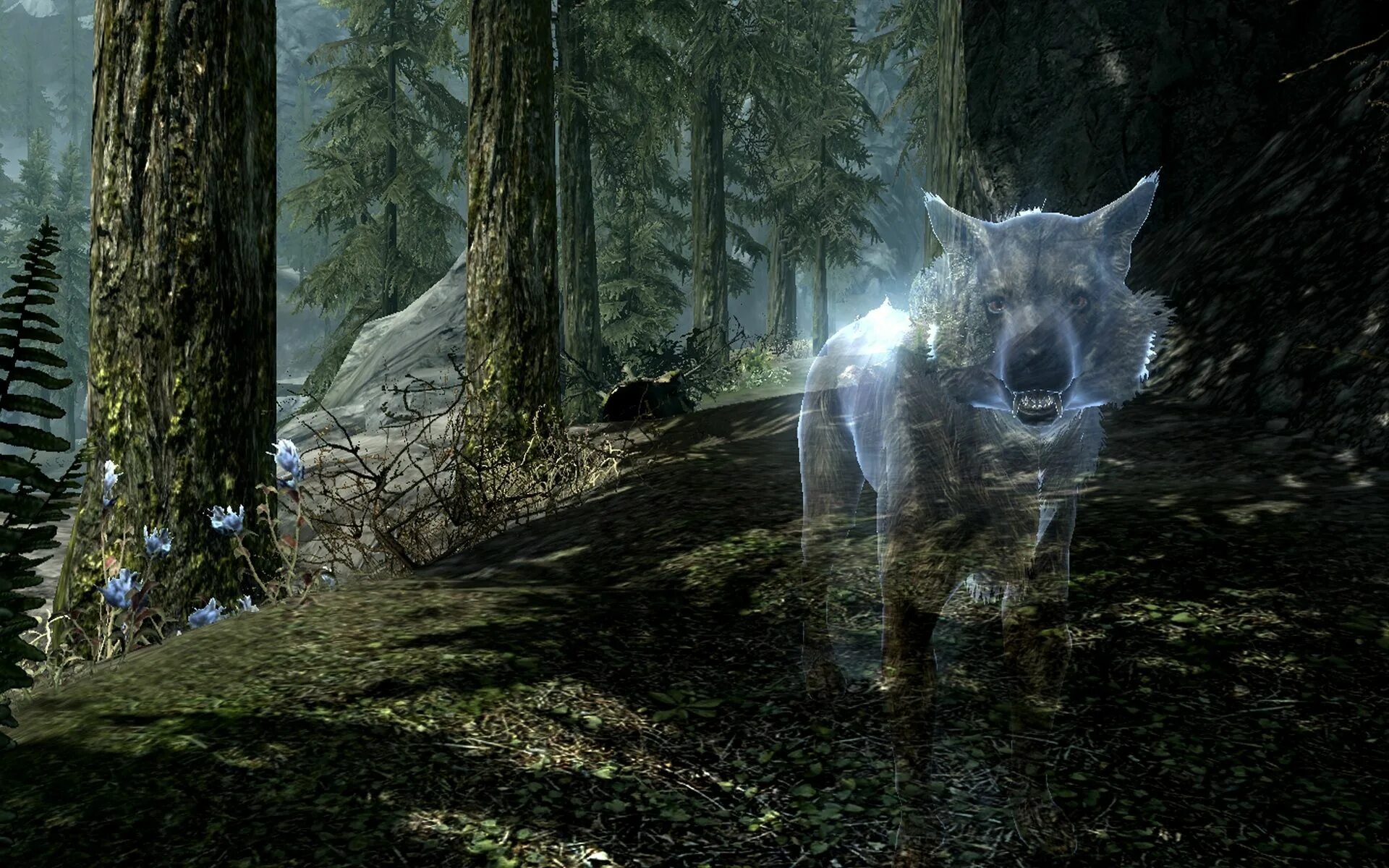 Wolf gaming wallpapers. Video Game Skyrim Elder Scrolls.