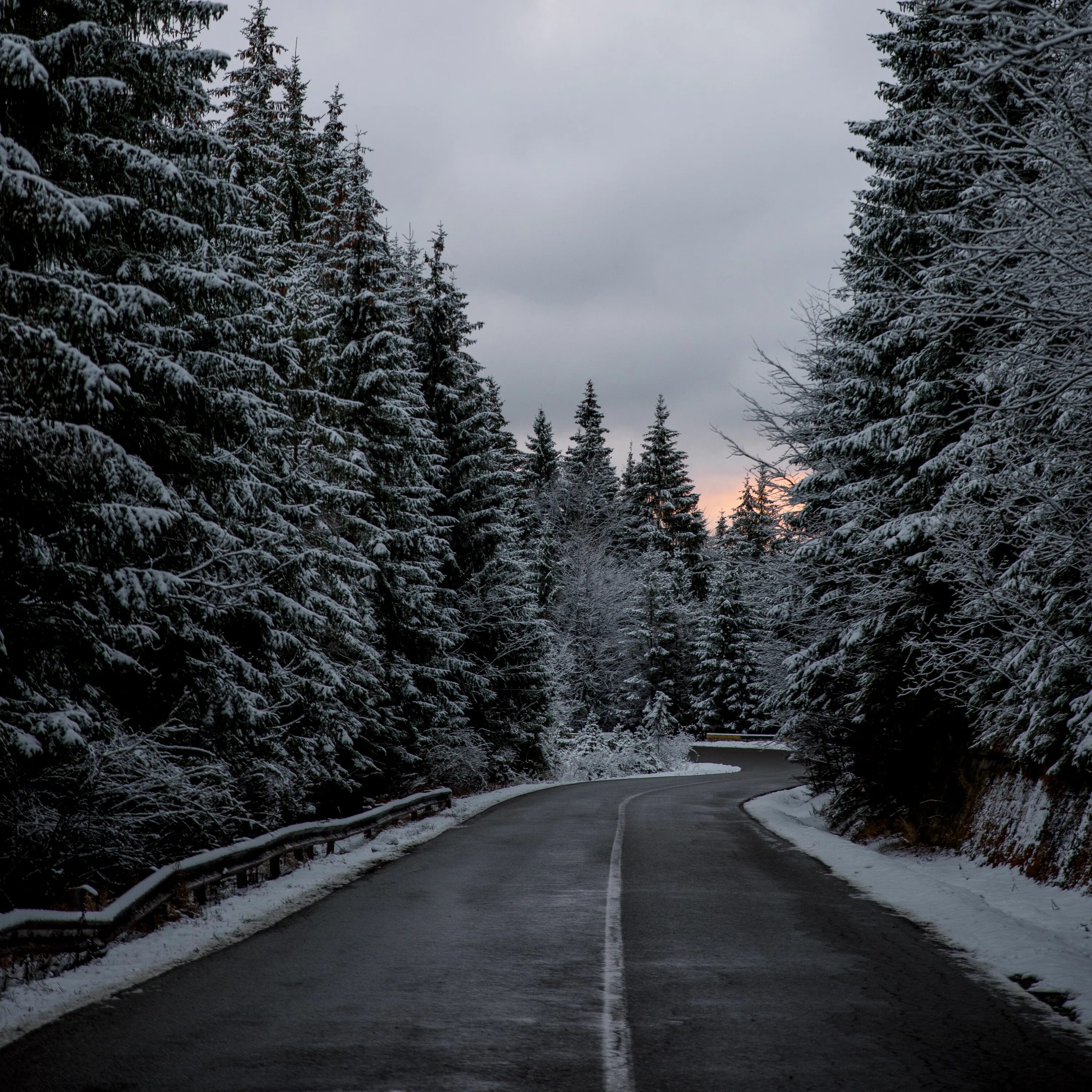 Сон дорога снег. Зимняя дорога. Дорога зимой. Зимняя Лесная дорога. Заснеженная дорога в лесу.
