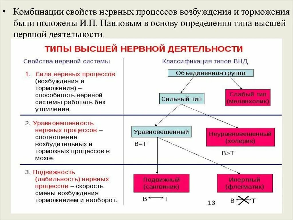 Сильный уравновешенный подвижный тип нервной. Типы высшей нервной деятельности (и.п.Павлов) физиология. Процессы возбуждения и торможения. Возбуждение и торможение нервных процессов. Свойства возбуждения и торможения.