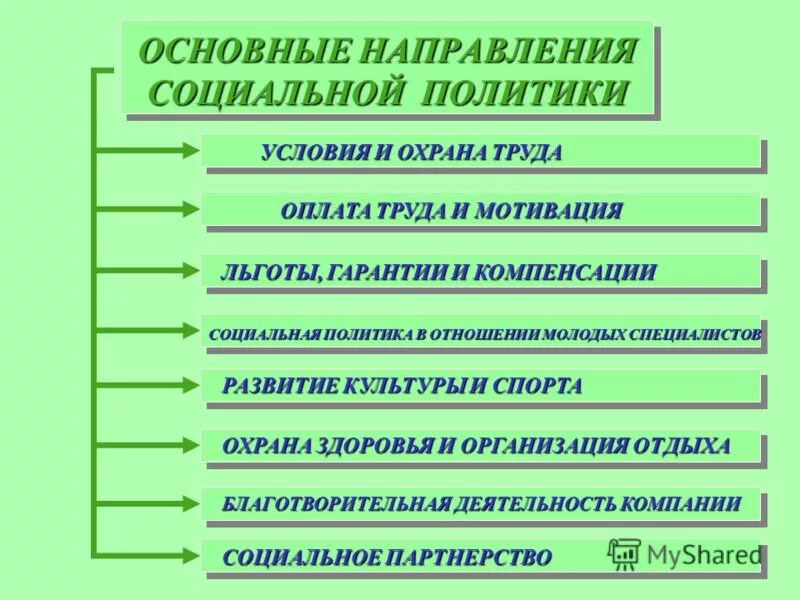 Развитие основных направлений социальной политики