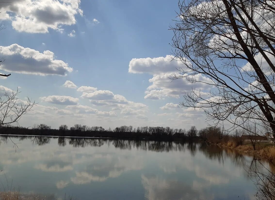 Погода в село родино алтайского края. Озеро Кучук Алтайский край. Родинский район Алтайский край озеро. Озеро Кубы Родино. Село Родино Алтайский край.