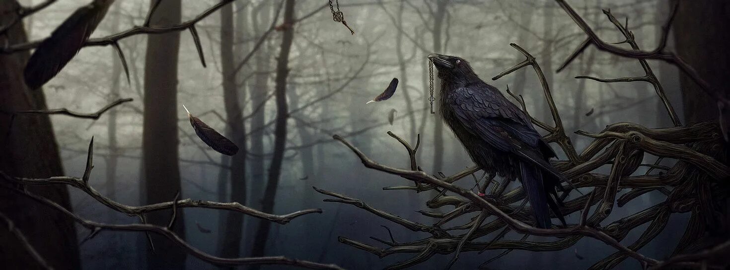 Night crows вороны. Лесной ворон. Мрачные птицы. Вороны в лесу. Мрачные вороны.