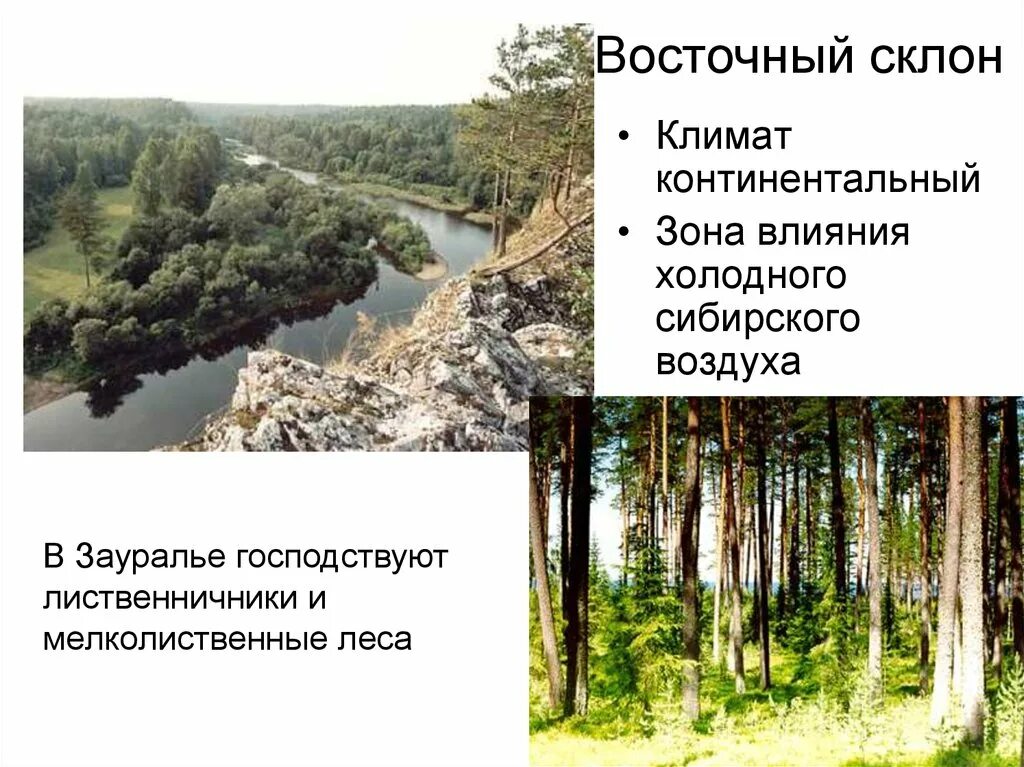 Природные зоны зауралья. Природные комплексы зауралья. Природные зоны зауралья. Природные зоны зауралья. Природные зоны зауралья.
