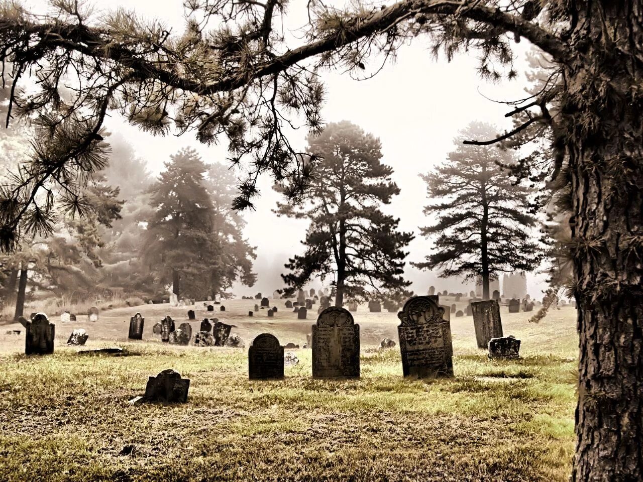 Meet you at the graveyard sovan truong. Кладбище Сэдхилл. Старинное кладбище. Красивое кладбище.