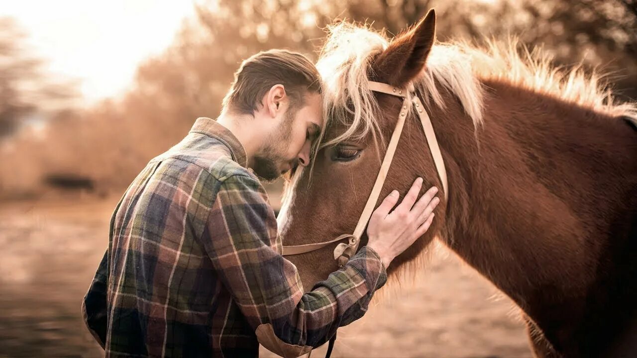 Мужик лошадку. Парень обнимает лошадь. Фотосессия с лошадьми. Человек на лошади. Парень и конь.