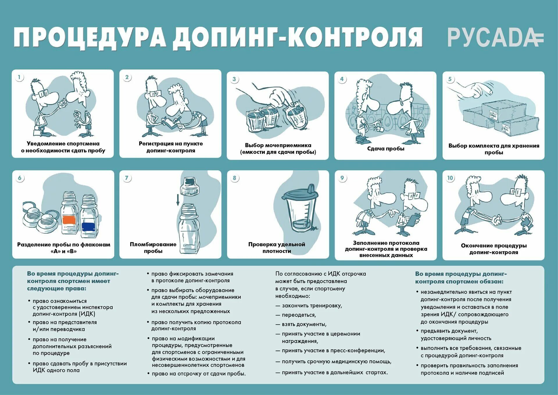 Антидопинговый тест пройти 2024. Процедура допинг контроля. Этапы процедуры допинг-контроля. Этапы допинг контроля. Порядок проведения допинг контроля.