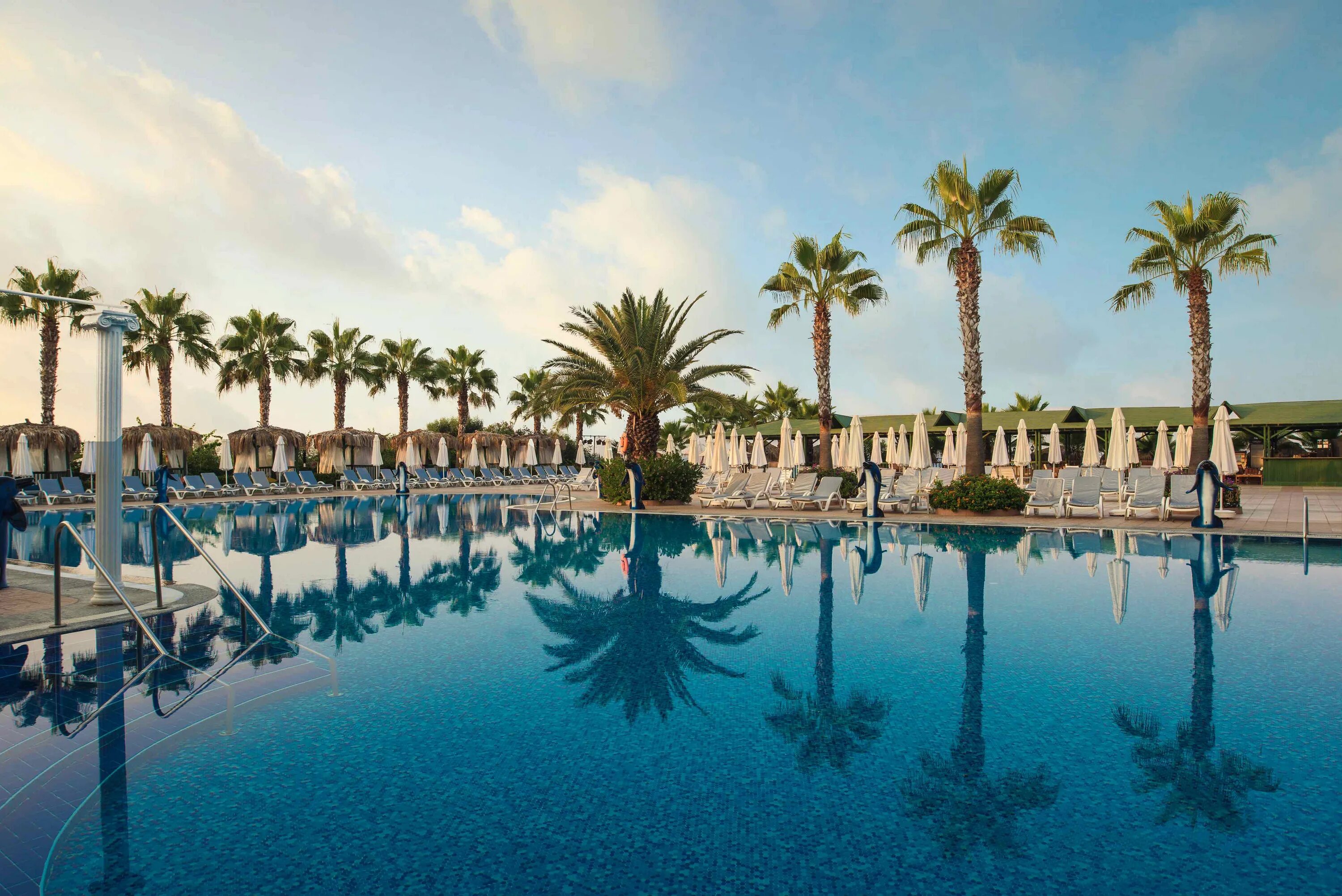 Botanik ex delphin botanik 5. Ботаник отель резорт алания. delphin botanik hotel resort 5. botanik hotel resort 5 турция аланья. отель дельфин ботаник алания 5.