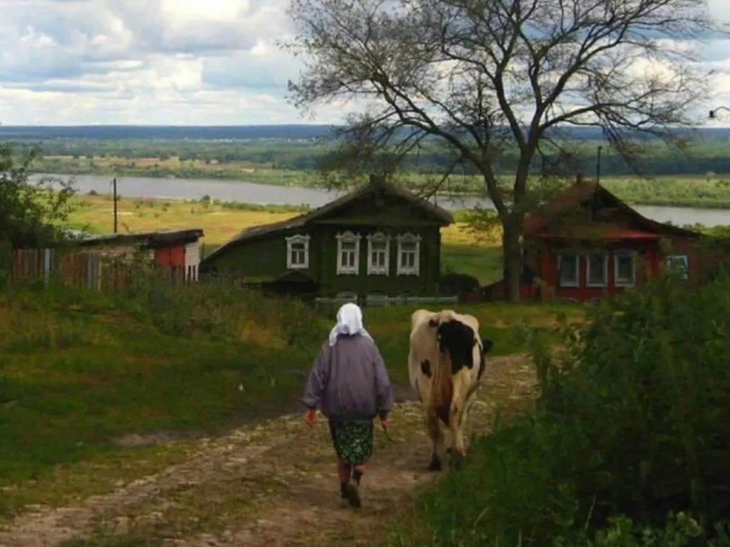 Почему в городе лучше чем в деревне. Почему в городе лучше чем в деревне