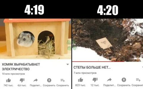 Хомяк ошибка при входе
