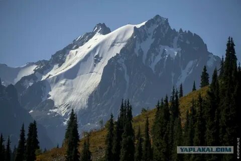 Лесби клиторын соратын порно көру