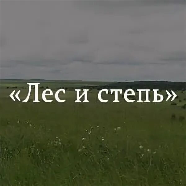 Тургенев записки охотника лес и степь. Лес и степь тургенев. лес и степь иван сергеевич тургенев. лес и степь рассказ. лес и степь тургенев читать.