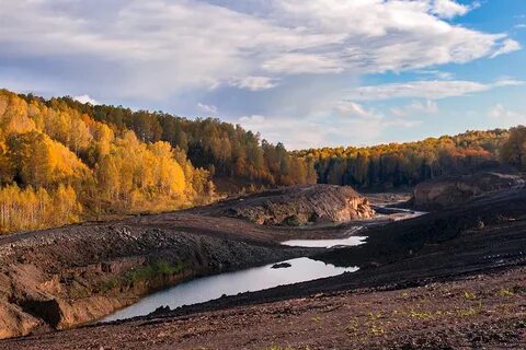 Красноярский край алтайский край