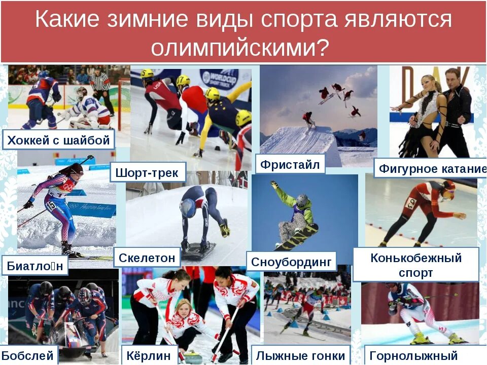 Виды спорта. Зимние виды спорта. Какие зимние виды спорта. Зимние Олимпийские виды спорта