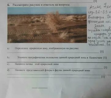 Соч по географии 3 четверть