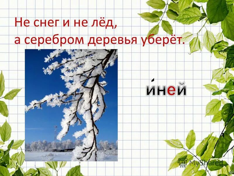 не снег не лед а серебром деревья уберет отгадка. не снег не лед а серебром деревья уберет загадка. и не снег и не лед. не снег не лёд а серебрём деревья уберёт. не снег не лед серебром деревья уберет.