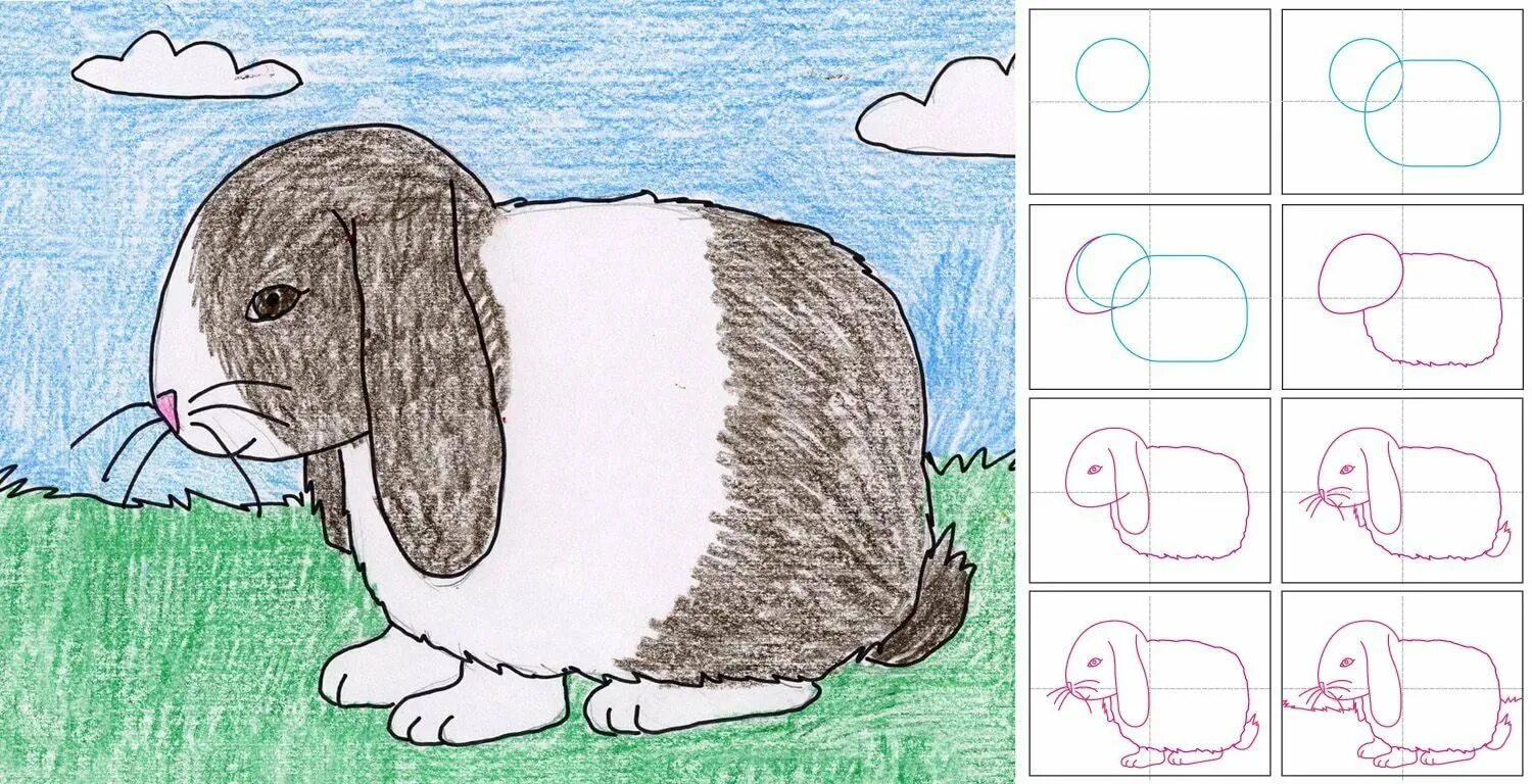 Нарисуй своих любимых животных. Рисование животных для детей. рисование 3 класс. поэтапное рисование зайца.