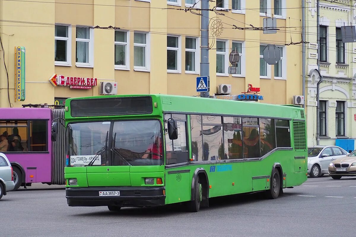 42 автобус гомель. МАЗ 103 fotobus. МАЗ 103 Полоцк. МАЗ 103.586. МАЗ-103.005.