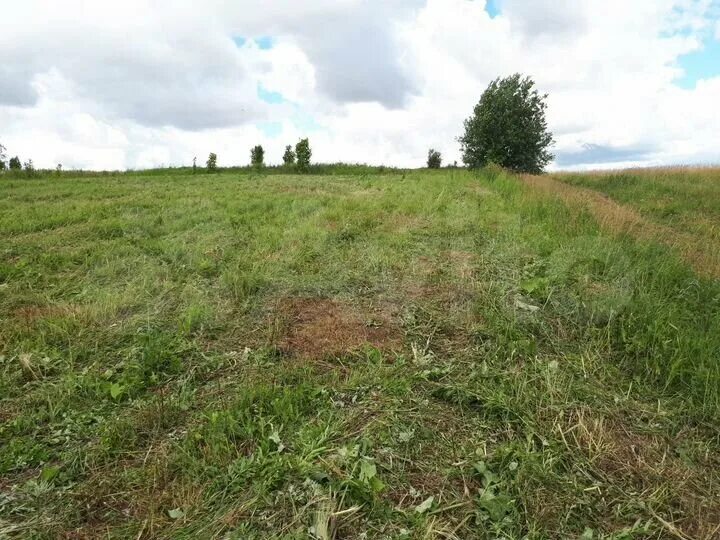 Д авдеево. Бураково на купецком озере храм. Республика карелия дер авдеево. Авдеево московская область. Деревня авдеево.