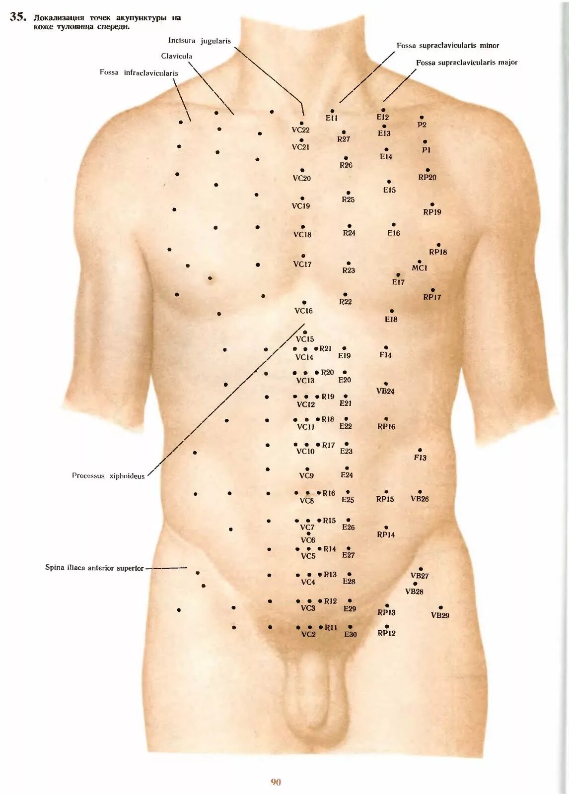 Названия точек человека. Активные точки на спине акупунктура. Точки акупунктуры на теле человека атлас. Меридианы и точки акупунктуры атлас. Атлас акупунктуры спины.