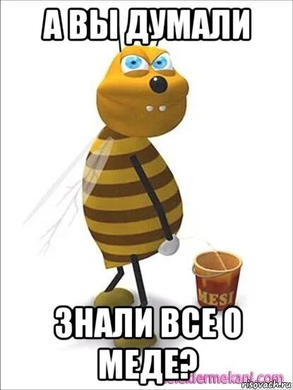 Honey мем. Мемы про пчел. мемы про пчеловодов. пчела прикол.
