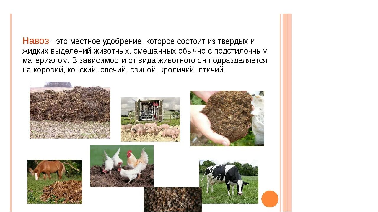 Значение навоза. Органические удобрения для почвы. Удобрение органическое. Органические удобрения для почвы. Минеральные удобрения классификация минеральных удобрений.