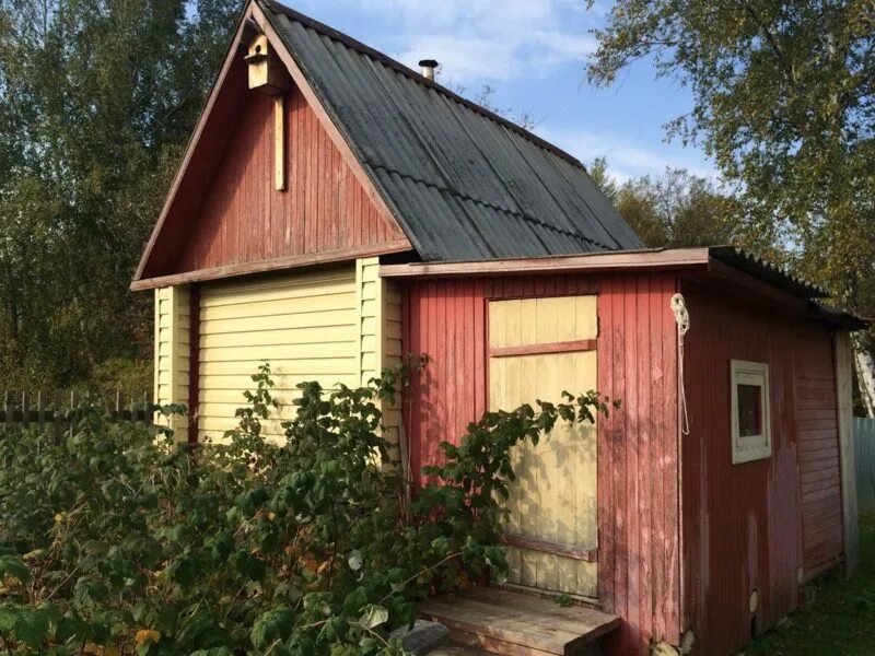 Дачи в томском районе. Мельниково томская область. село мельниково шегарского района томской области. дом в мельниково томской области. дачи в мельниково.