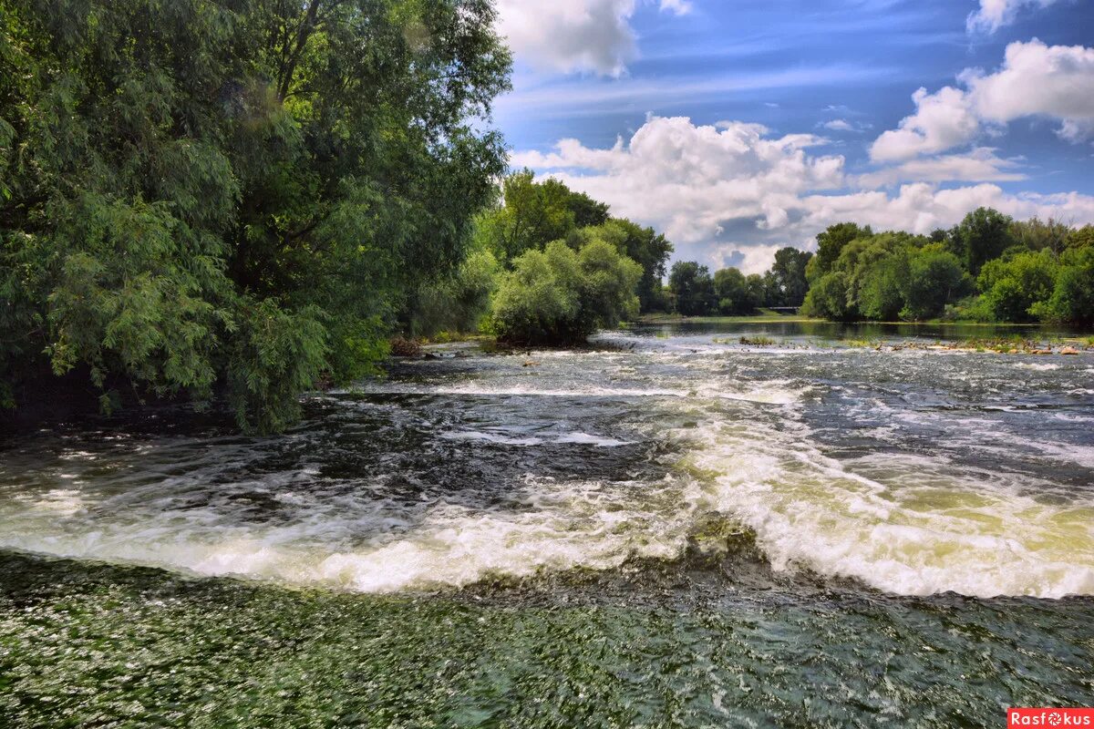 Сайт сейм курск. Река Сейм Курск. Сейм (река) реки Курской области. Река Сейм Путивль. Курск природа река Сейм.