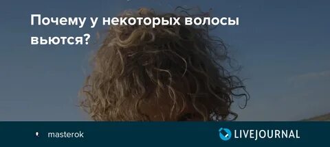 Вьется почему мягкий