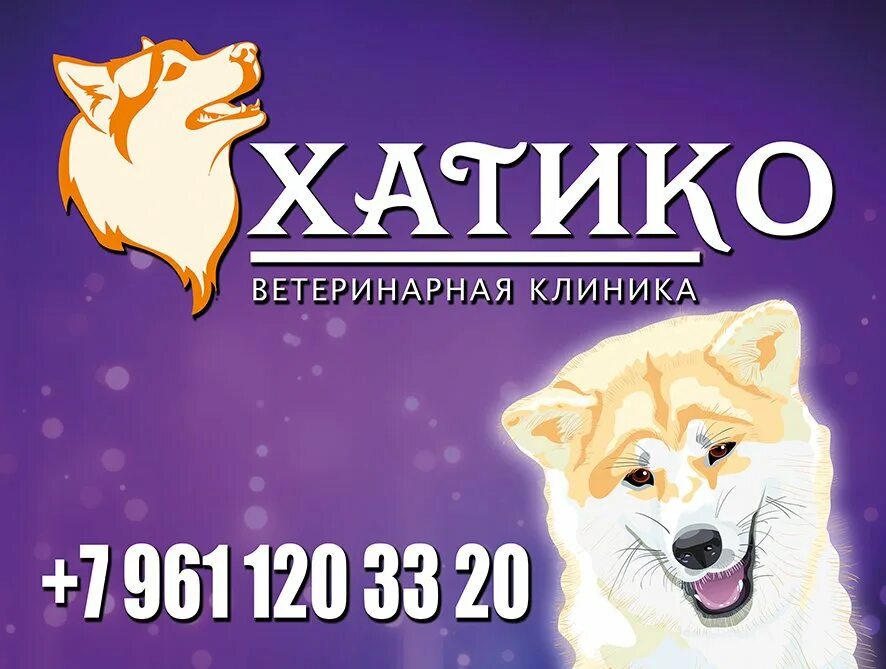 Ветклиника Хатико Калуга. Хатико балаково магазин техники. Ветклиника Хатико Калуга.