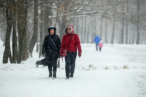 Ближайшие 2 часа ожидается