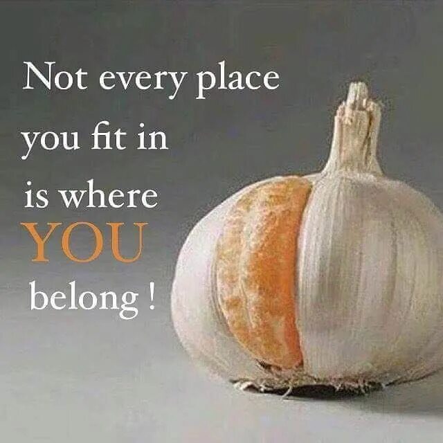 Don t try to fit in. Don t try to fit in