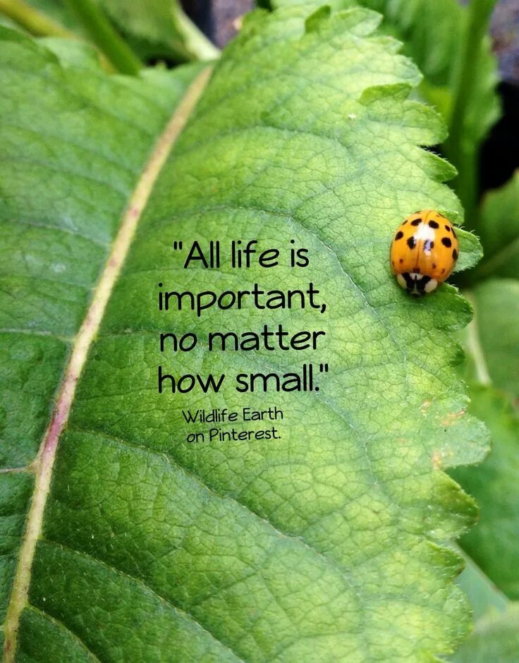 Is important that all of