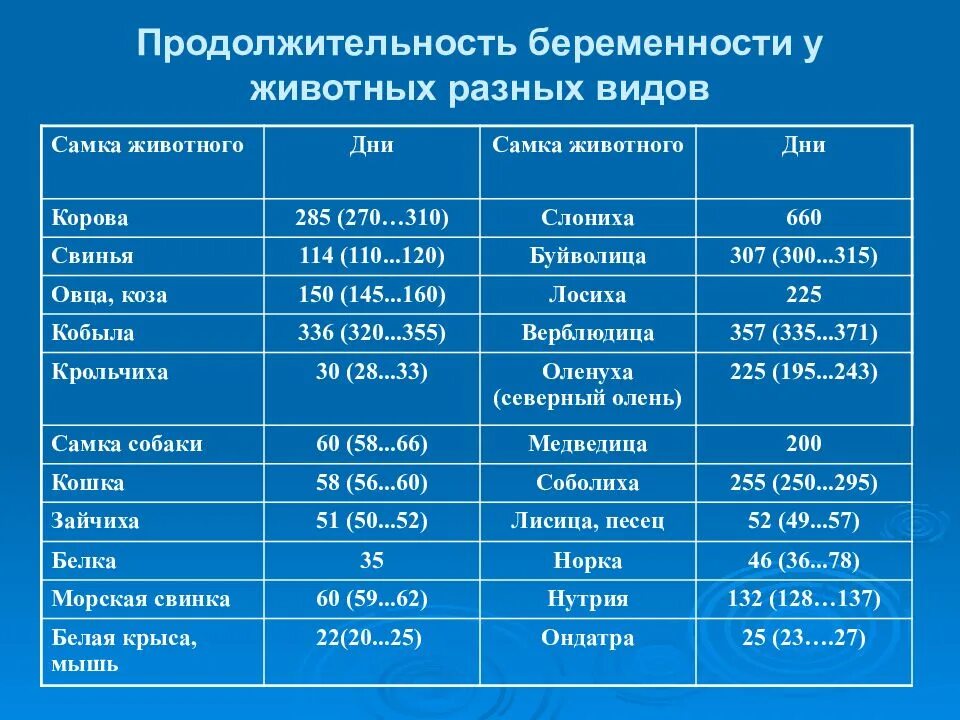 Количество может быть разным