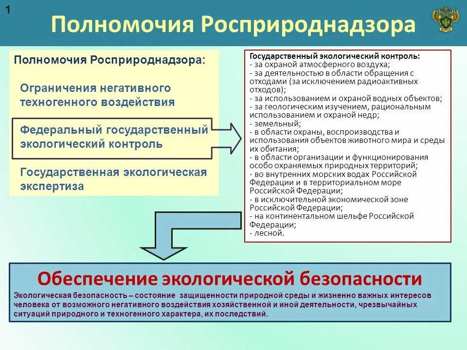 Федерального государственного мониторинга. Росприроднадзор полномочия. Полномочия государственного экологического контроля. Контролирующие органы экология. Государственный экологический надзор.