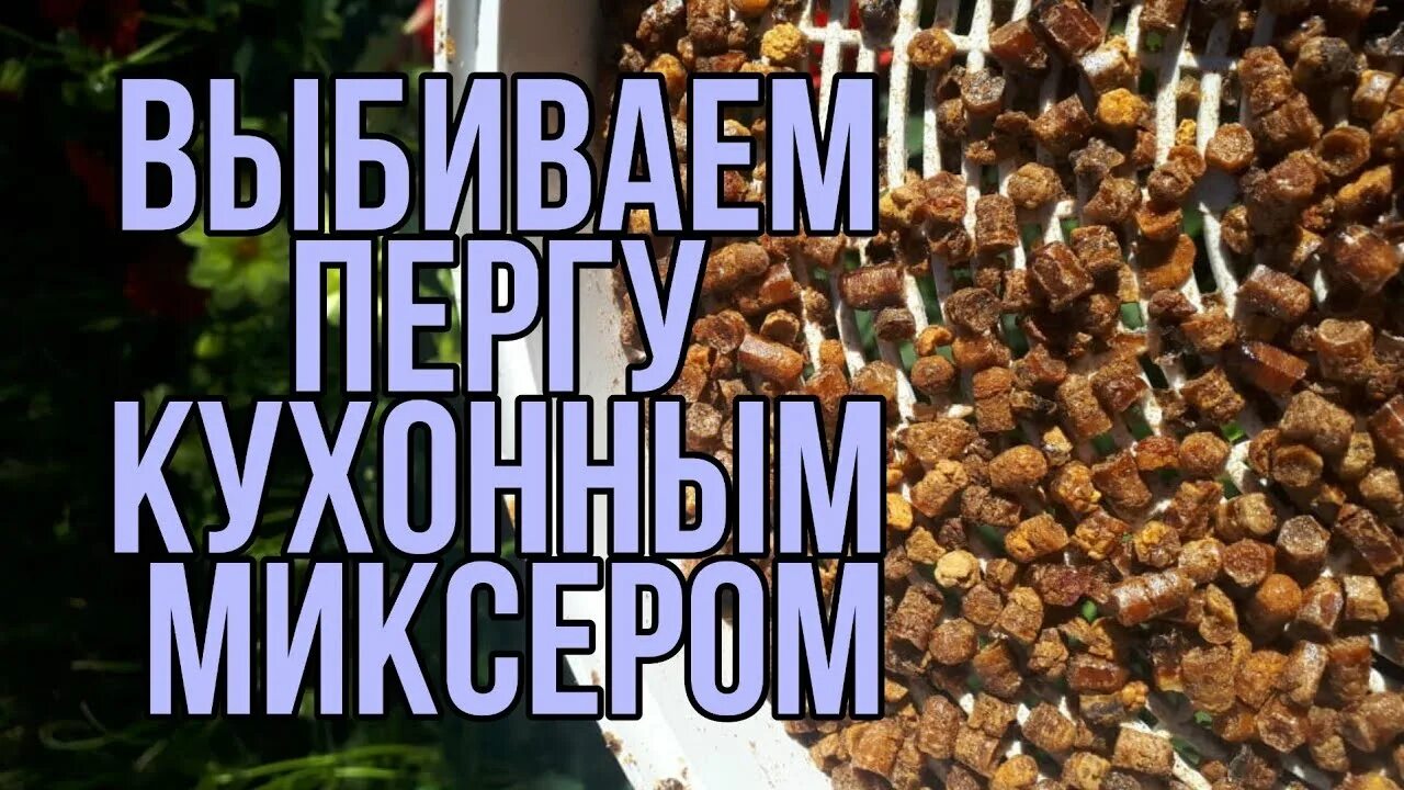 Достать пергу из сотов. Перга как добывают. извлечение перги. как собрать пергу из сот. как добывают пергу пчелиную из рамки.