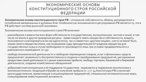 Социально экономические основы конституции