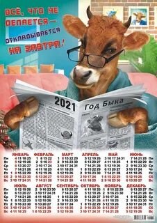 Календарь года быка