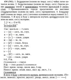 Русский язык 6 класс номер 436