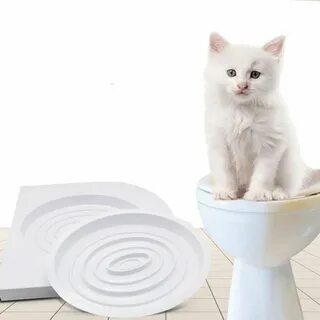 Как приручить кошку