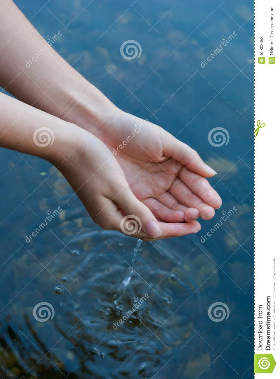 Catch water