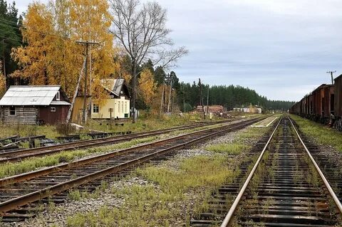Кабожа новгородская область