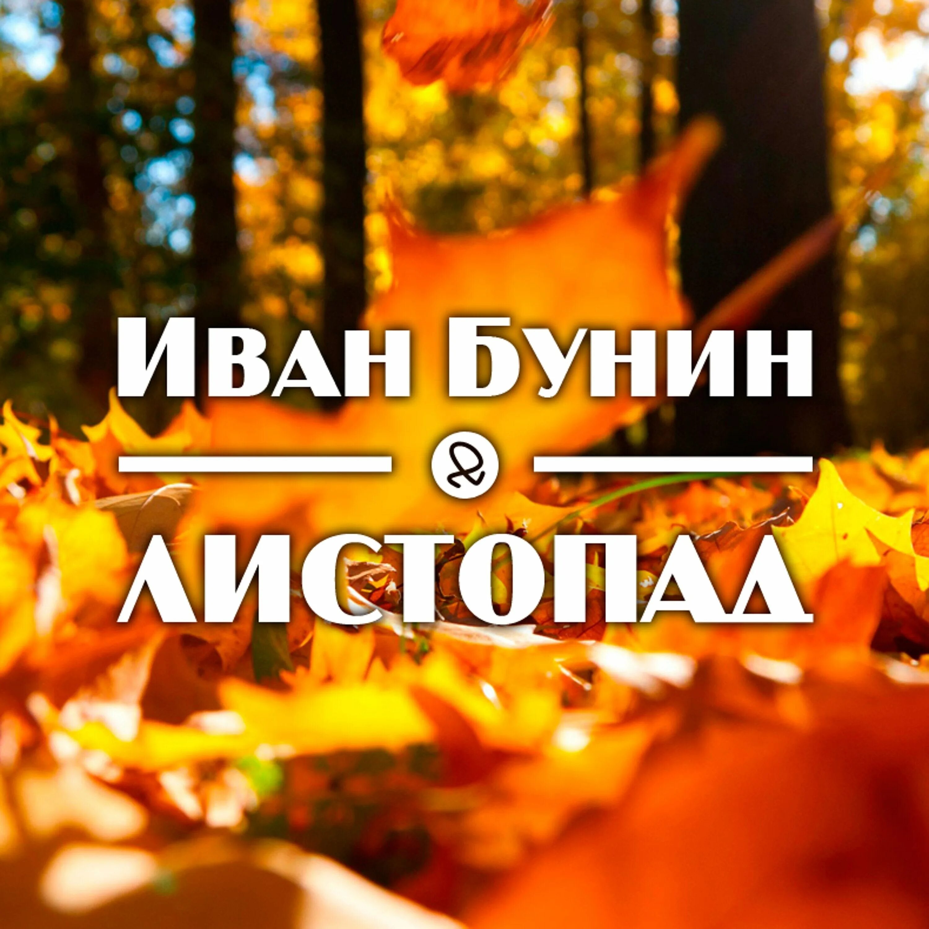 Послушаем листопад. Листопад бунина. поэма листопад бунин.